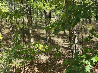 Lot 416 Plum Hollow Blvd, Hot Springs, AR 71913