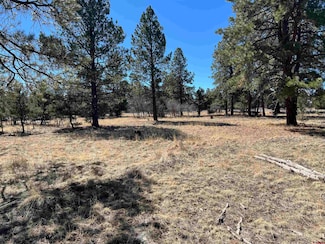 63 Pronghorn Ln, Loghill Village, CO 81432