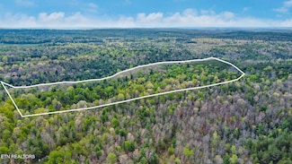 55.91 Acres Old Collins Rd, Deer Lodge, TN 37726
