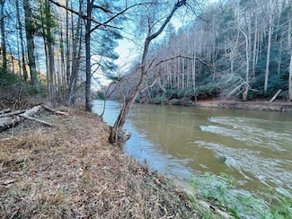TBD Chestnut Oak Ln, Dugspur, VA 24325