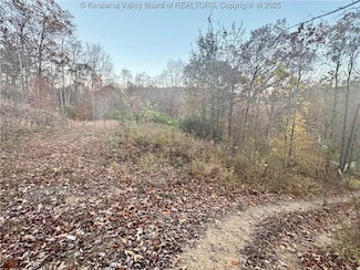 501 Mallard Ln, Bloomingrose, WV 25024