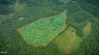 Tbd Mineral Hill Ln, Gate City, VA 24251