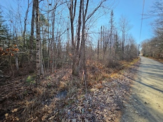 Lot 1 Noyes Rd, Waldoboro, ME 04572