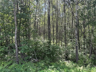 Lot 1 W Nelson Lake Rd, Hayward, WI 54843