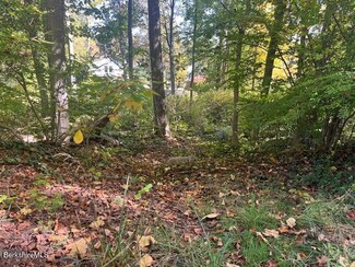 0 Lake Ave, Great Barrington, MA 01230