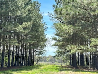 2621 Goodwater Rd, Haworth, OK 74740