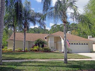 4316 Worthington Cir, Palm Harbor, FL 34685