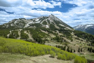 F1 Prospect Dr, Mt. Crested Butte, CO 81225