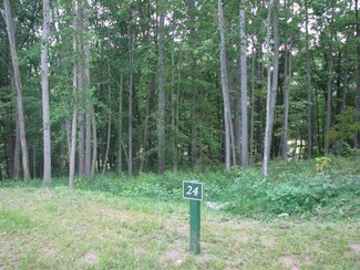 Lot 24 Moxley Ridge Rd, Independence, VA 24348