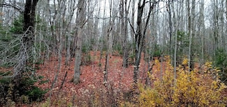 000 Square Rd, Eden, VT 05653