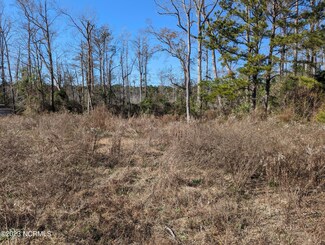39 Sellers Cove Way NE, Winnabow, NC 28479