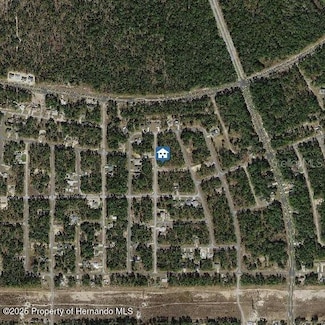 647 W Tulip Ln, Citrus Springs, FL 34434