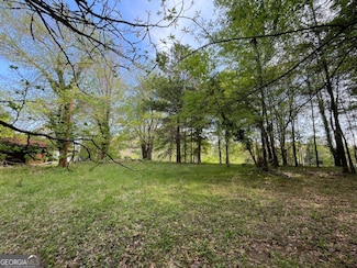 0 Demorest Mt Airy Hwy Unit 10514864, Demorest, GA 30535