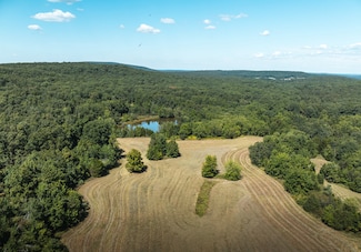 0 Highway 221 Unit 11571616, Ironton, MO 63650