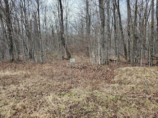 ON Lake Winter Rd, Winter, WI 54896