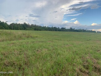 0000 Highway 20 Hwy, Clarksville, FL 32430