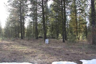 Lot 8 Timber Ridge Dr, New Meadows, ID 83654