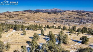 0 Unknown Cir Unit 3403539, Cripple Creek, CO 80813