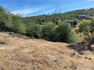 15330 Trinity Rd, Cobb, CA 95461