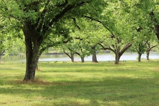 0 Shady Grove Rd, Hurtsboro, AL 36860