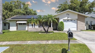 2955 Briar Cliff Dr, Palm Harbor, FL 34684