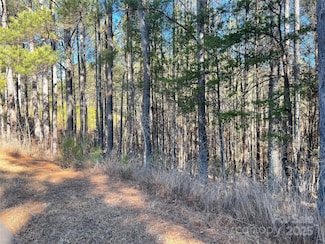 109 Shortoff Trail, Morganton, NC 28655