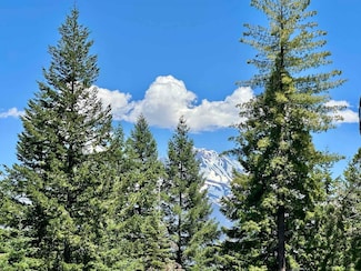 41 Acres Black Bear Loop, Weed, CA 96094