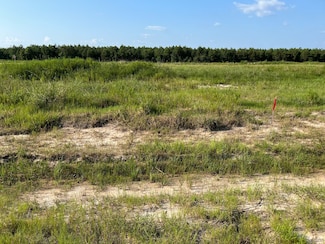 1021 Road 5858, Cleveland, TX 77535