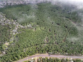 15 County Road 2140, Crockett, TX 75835