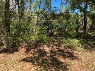 5979 E Vale St, Inverness Highlands South, FL 34452