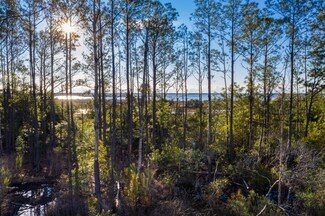 1690 Cultivation Ln Unit 543, Mount Pleasant, SC 29466
