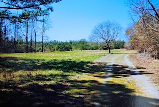 Parcel B Muddy Creek Rd Unit 150, Bloxom, VA 23308