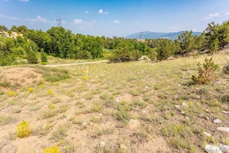7921 Cozart Ln, Poncha Springs, CO 81201