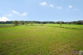 Lot A-5-F W La Hwy 936, Saint Amant, LA 70774