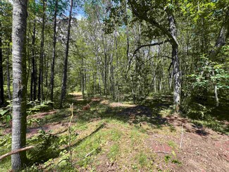 0 Reynolds Rd, Wausaukee, WI 54177
