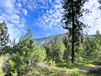 Nhn Mahonia Rd, Plains, MT 59859