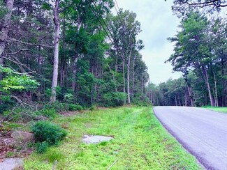 Lot 41 Leers Rd, Lumberland, NY 12737