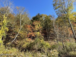 000 Log Run Rd, Williamsport, PA 17701