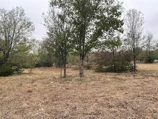 TBD 1090, Navarro, TX 75109