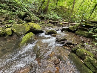 00 Calico Rd, Mountain Township, AR 72031