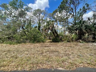 1041 Sherwin St, Port Charlotte, FL 33953