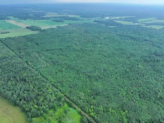 80 Acres on County Line Rd, Brule, WI 54820