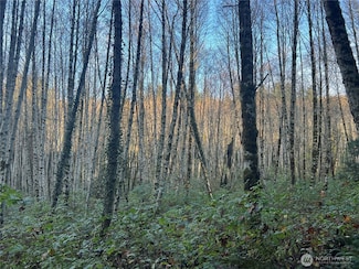 1 XX View Dr NE, Poulsbo, WA 98370