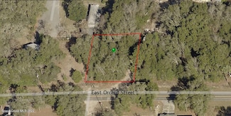 3769 E Orchid St, Hernando, FL 34442