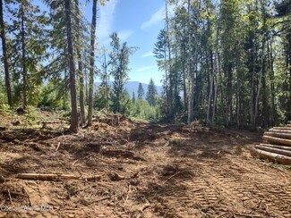 NKA Cohage Rd, Sandpoint, ID 83864