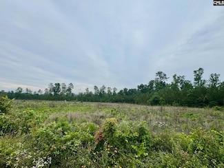 0 Ebb MacK Rd, Saluda, SC 29138