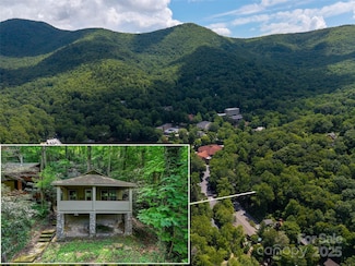 328 Texas Rd, Black Mountain, NC 28711