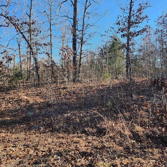 808 W Forest Hills Cir, Horseshoe Bend, AR 72512