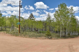 55 Aspen Way Dr, Guffey, CO 80820