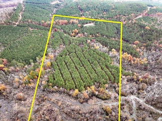 0 Cr 1651 Unit 20219279, Avinger, TX 75630